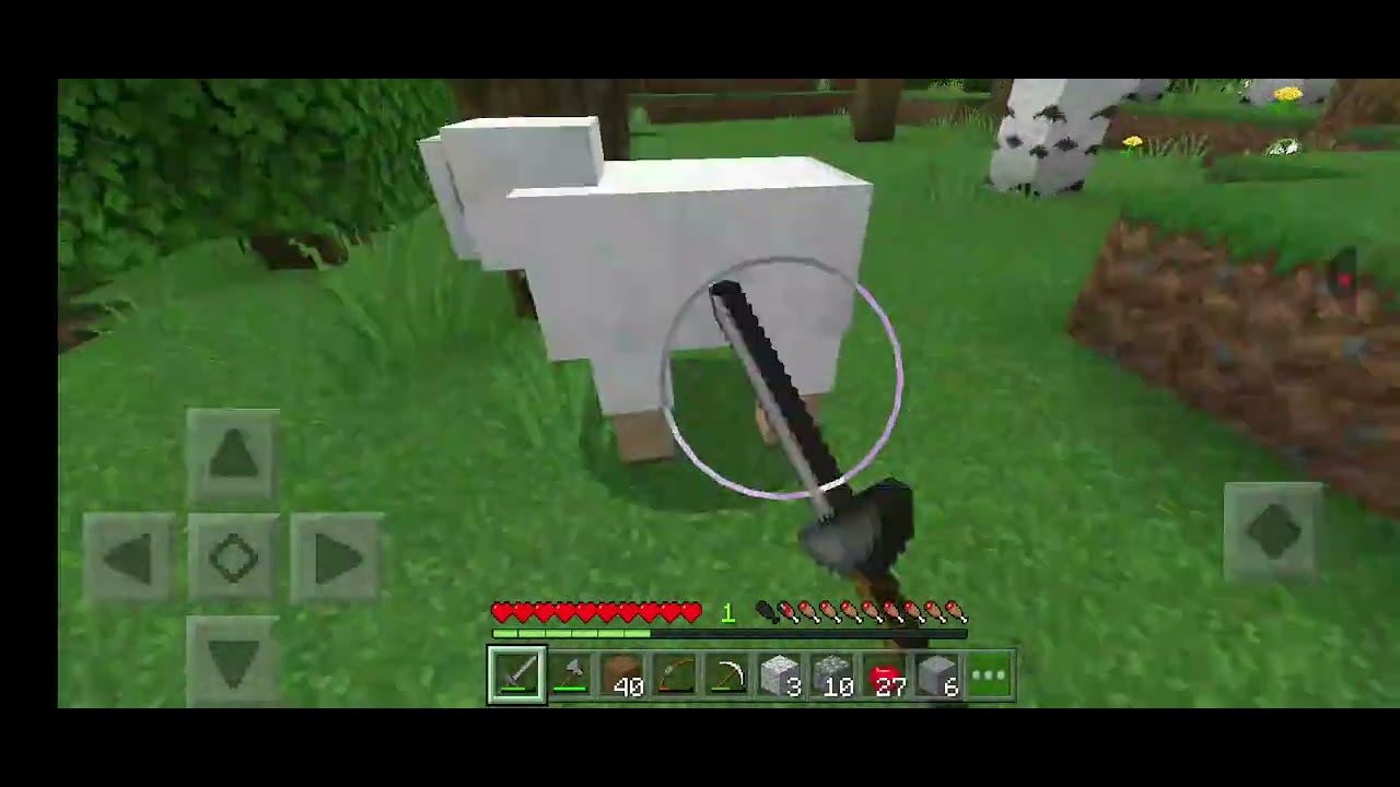 Jugando minecraft con un cerdito