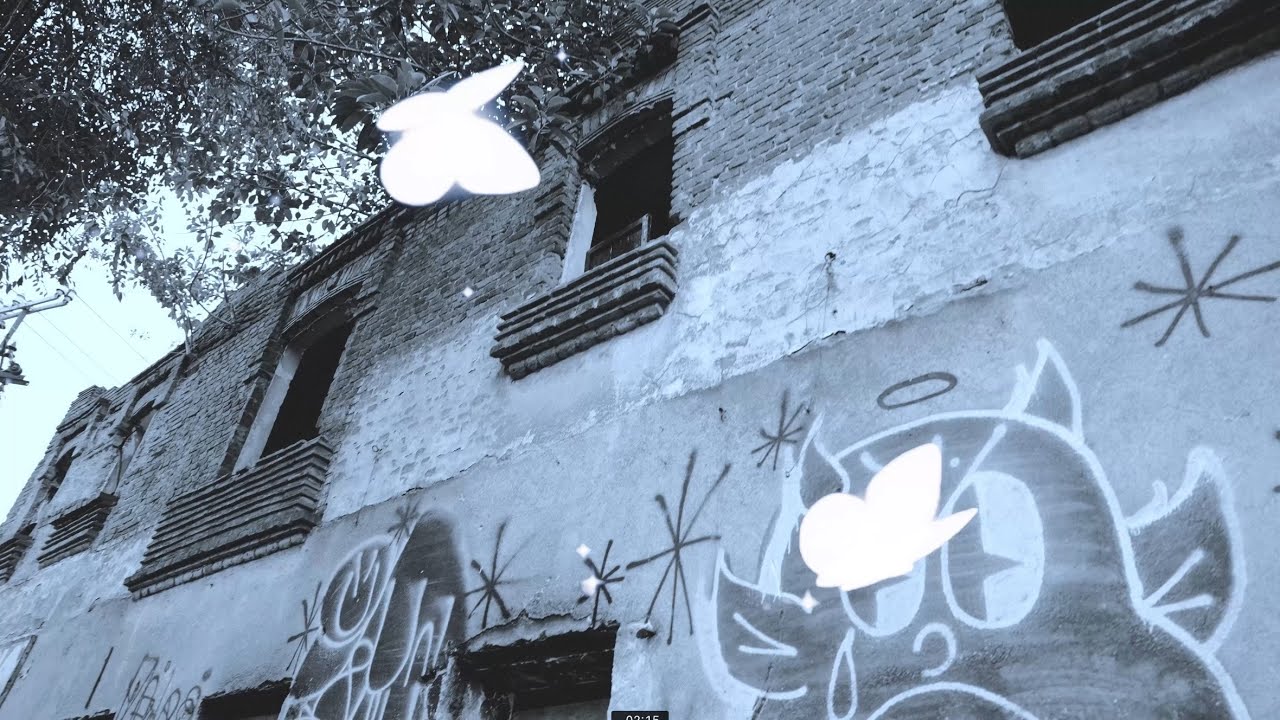 JOHNNY NITRO - FLVCKKA / Mikebøi