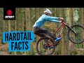 6 Things To Know Before You Buy A Hardtail MTB | The Best Things About Hardtail Mountain Bikes