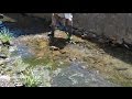 What Else at Bottom of 100yr Old Creek? Shoveling the Coins Out