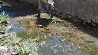 What Else at Bottom of 100yr Old Creek? Shoveling the Coins Out