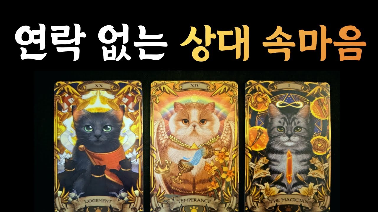 연락없는 상대방 속마음, 우리 재회할 인연일까? 완전히 끊긴걸까?