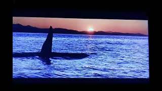 Free Willy (1993) End Credits