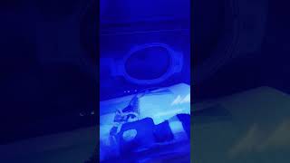 Photolight Shanza Naxish