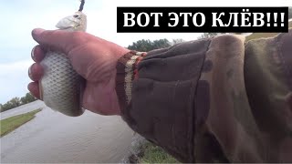 КЛЁВ КАК ИЗ ПУЛЕМЁТА - ВОБЛА ПРЁТ. Рыбалка в Астрахани 2024