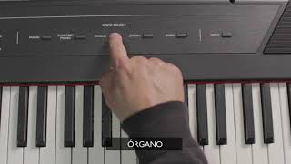 Piano Alesis Recital Digital 88 Teclas Semi-pesadas - COLOMBIA