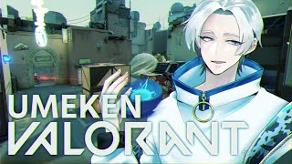 【VALORANT】こちら多分シルバー