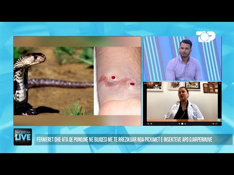 Video: Lloje gjarpërinjsh helmues