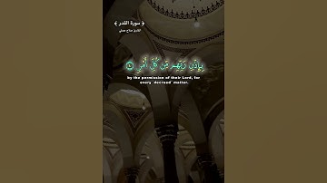 تلاوة خاشعة مريحه للقلب 💖سورة القدر - القارئ صلاح مصلي