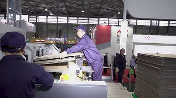 Automatic Die cutter with Stripping machine | Eterna ECUT 1650 Elite | Keenmatics| Suba Corrugations