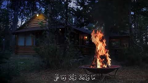 القرآن الكريم بصوت جميل 📚🔦