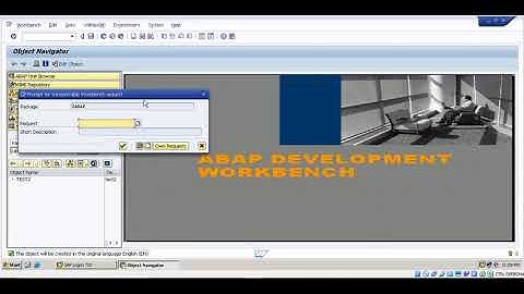 Crear Paquete SAP R/3