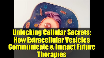 Unlocking Cellular Secrets: How Extracellular Vesicles Communicate & Impact Future Therapies