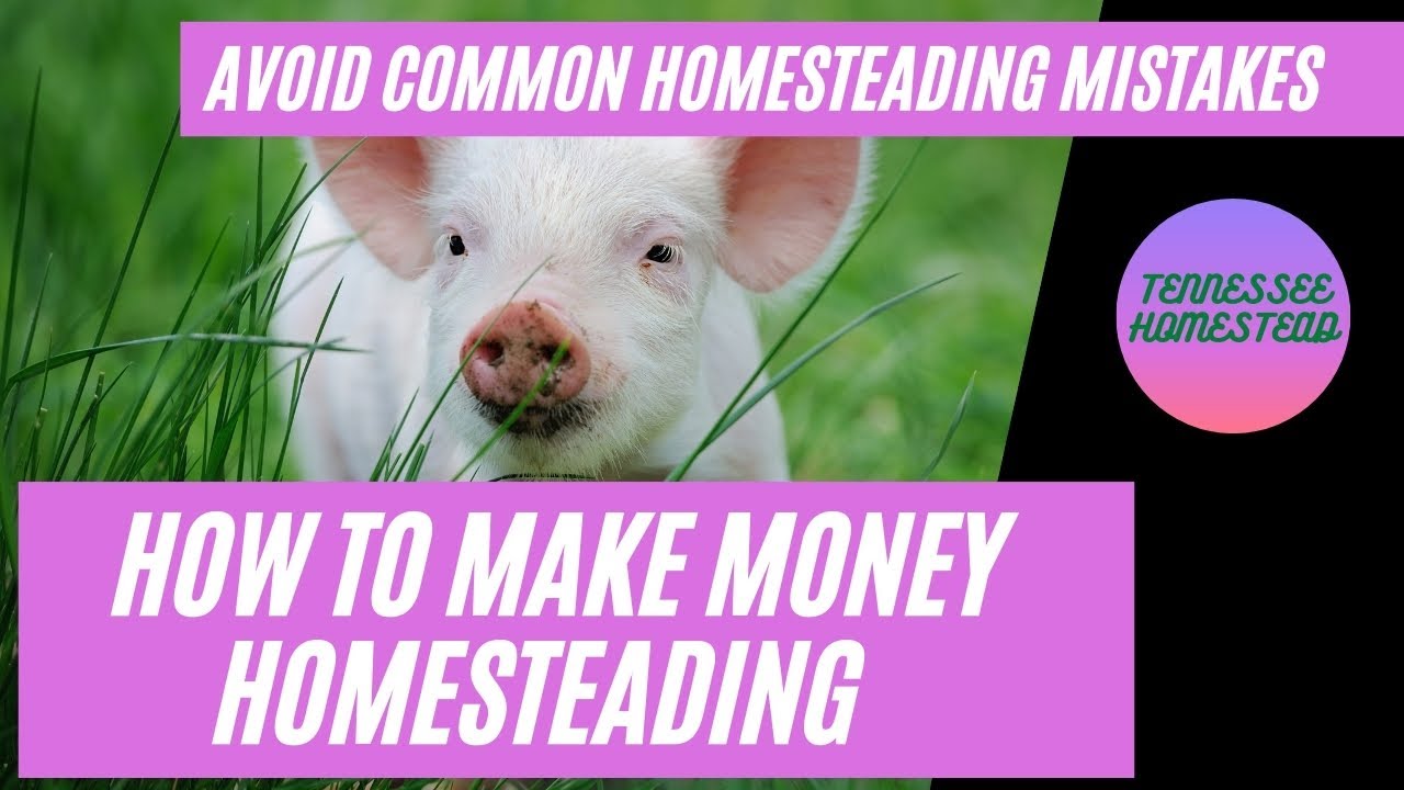 HOW TO MAKE MONEY HOMESTEADING | Avoid Common Mistakes Made With