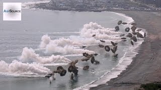 Massive Korea & U.S. Marines Amphibious Beach Landing