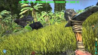 Ark Gameplay and Commentary