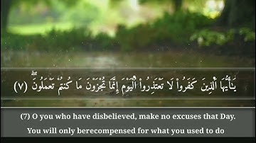 تلاوة تجوديّة نادرة من الطراز الرفيع وبجودة عاااالية ✨