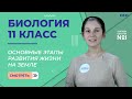 Основные этапы развития жизни на земле. Видеоурок 28. Биология 11 класс