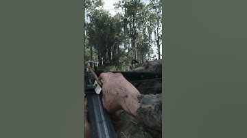 Hunt Showdown ► Crossbow MARADON