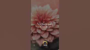 الله يعلم ما تحمل كل أنثى وما تغيض الأرحام وما تزداد وكل شيء عنده بمقدار |سورة الرعد | مشاري العفاسي