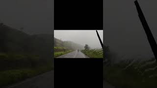 My Love  Little Texas 