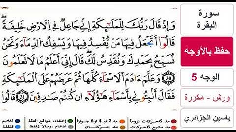 حفظ بالاوجه - الوجه 5 - سورة البقرة - ياسين الجزائري - ورش - مكررة