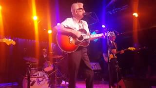 Video thumbnail of "Nick Lowe & Los Straitjackets - Raincoat in the River (Live)"