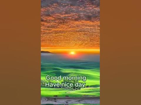 Good morning video status|Beautiful nechar| songs|music| Shorts - YouTube