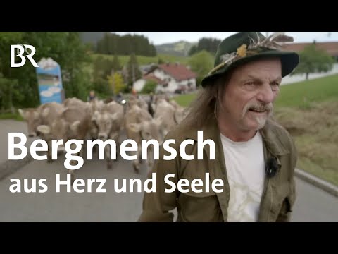 Video: Eingewickelt in Liebe - Gruppe Handwerker ändern die Leben der Rettungshaustiere durch Liebe und Güte