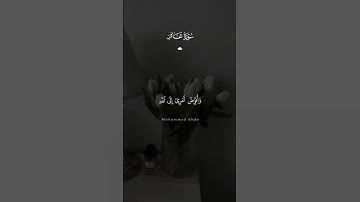 #foryou #المصحف #viral #yasseraldossary #الدوسرى #قرآن #قرآن_كريم #قران_كريم #مصحف_التجويد