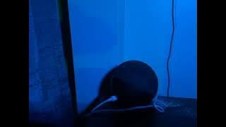 78451601066  E9B8BC3B D70C 402E 85AD 019F981AF799