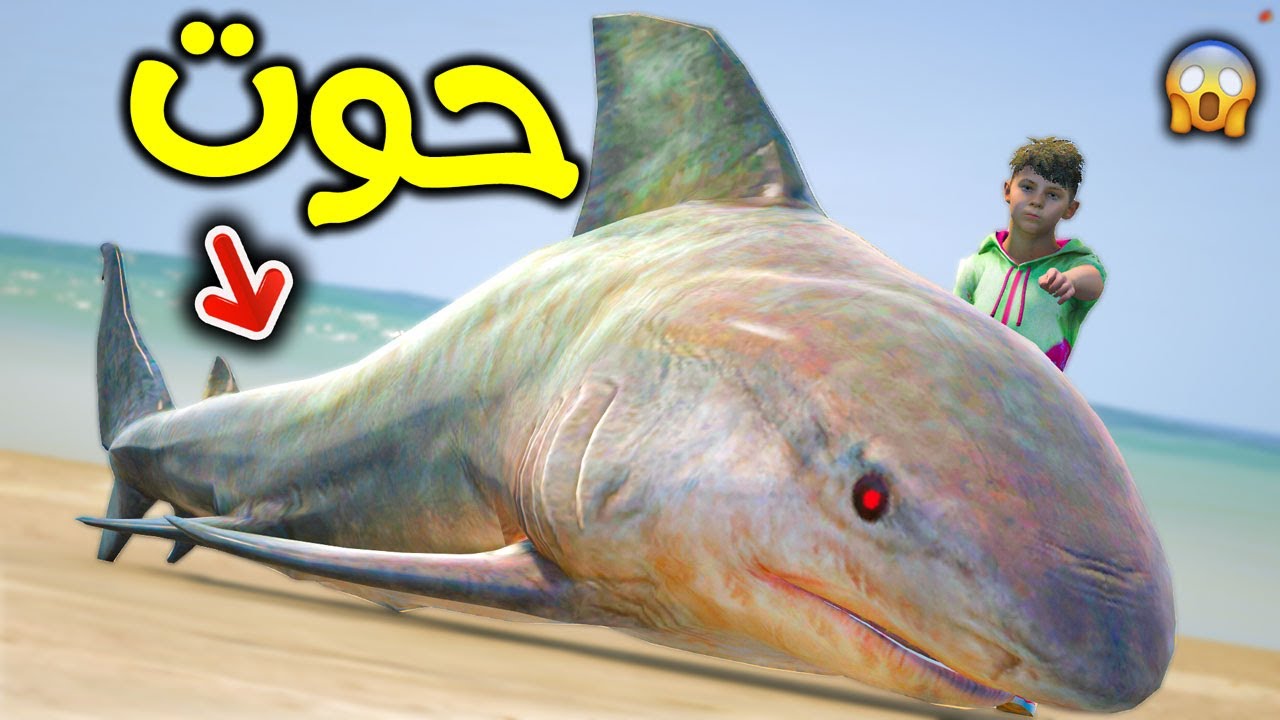 صدنا حوت كبير !! | قراند