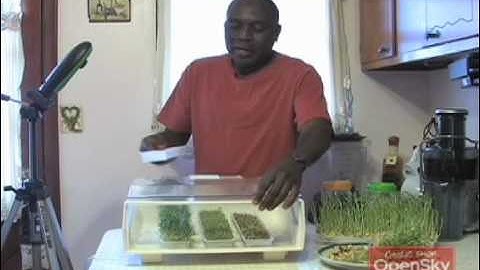 Mikro Farm Automatic Sprouter