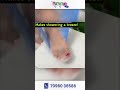 Video Image