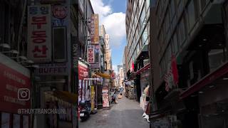 Experiences vary a lot, depending on what you want 2see in South Korea: Seoul, Busan, Jeju, Incheon