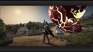 AWK Wizard Highlight pvp SIEGE BDO №3