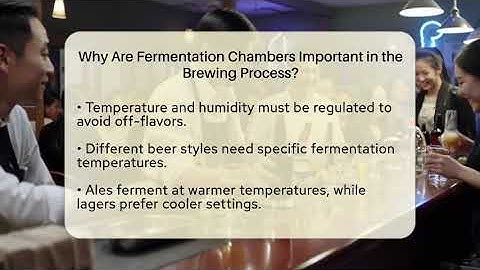 Why Are Fermentation Chambers Important in the Brewing Process? | The Pint Guy