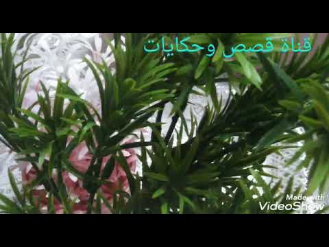 قصة دينية قصيرة الصدقة للاقرب من قناة قصص وحكايات