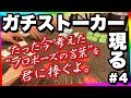 ガチストーカーが身内に紛れていたことが発覚してしまった。#4【限界実写ボドゲ - たった今考えたプロポーズの言葉を君に捧ぐよ。】