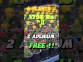 Dm on WhatsApp:8547669938 #flower #plantparent #adeniumplant #gardening #plants #desertrose