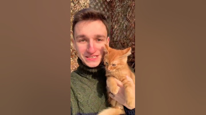 Симбочка гуляет по СНЕГУ!❄️☃️