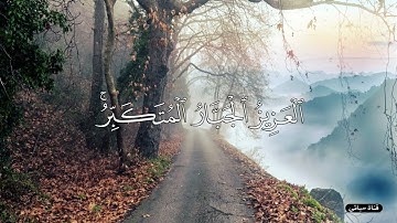 {هو الله الذي لا إله إلا هو}. للقارئ أحمد النفيس