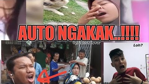 NGAKAK.!!!!! Makan Daging Anjing Dengan Sayur Kol (Kumpulan video Lucu)