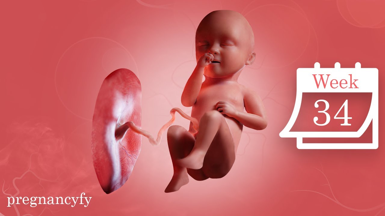 Week 34 Pregnancy at Week 34 (Fetal Movements) - YouTube