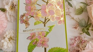 Thanks in Bloom & signature sentiments press & foil plates by Spellbinders