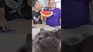 1000th Episode Milestone! Watch the funniest cat meme dance ever with the iconic 'Tsamina Mina