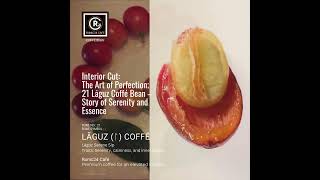Runic24 Caffe  Iconic Beverage 21