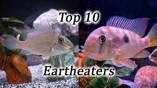 Top 10 Eartheater Species | Geophagus, Gymnogeophagus, Satanoperca