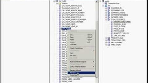RENAMING LOGICAL OBJECTS MANUALLY in  BMM LAYER 5of 8