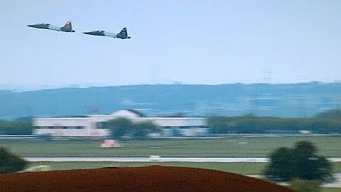 Rare Footage of Bird Crashing Into Flight Instructor's Cockpit - DayDayNews